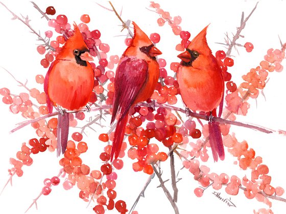 Three Cardinal Birds