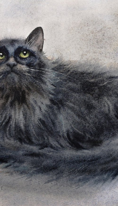 Fluffy black cat by Olga Beliaeva Watercolour