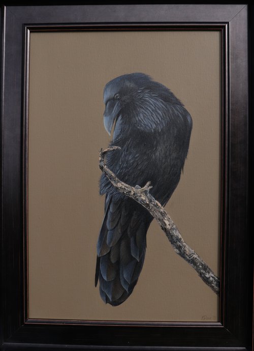 The Raven by Alex Jabore