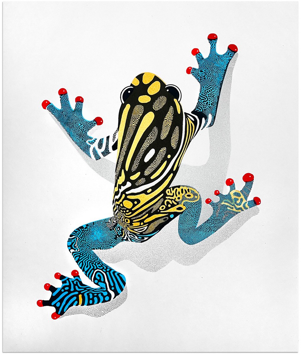 Illustrative Screenprint , Frog By Chris Keegan, 13 X 16, Artwork For Sale On Artfinder