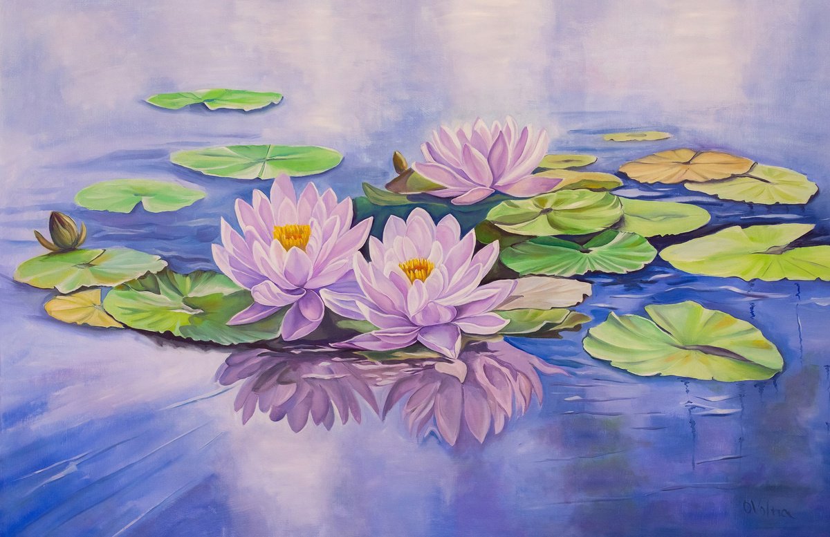 Water lilies by Olga Volna