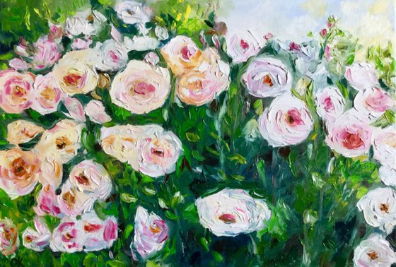 WHITE PINK YELLOW  roses