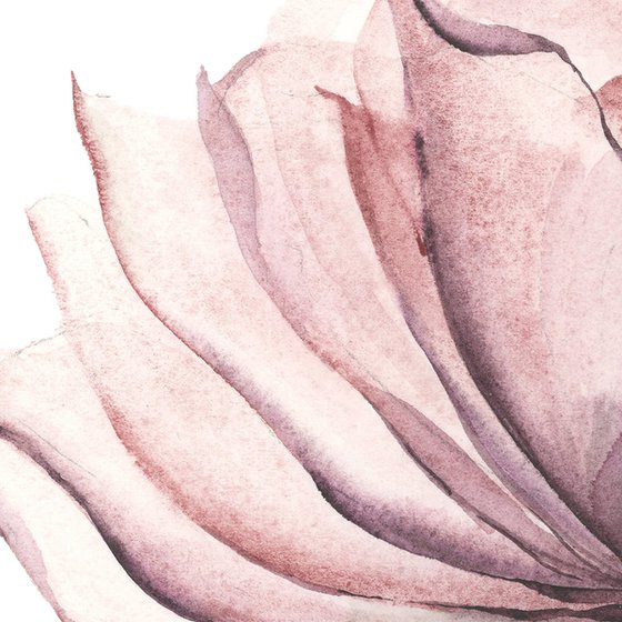 Dusty pink  Transparent Rose