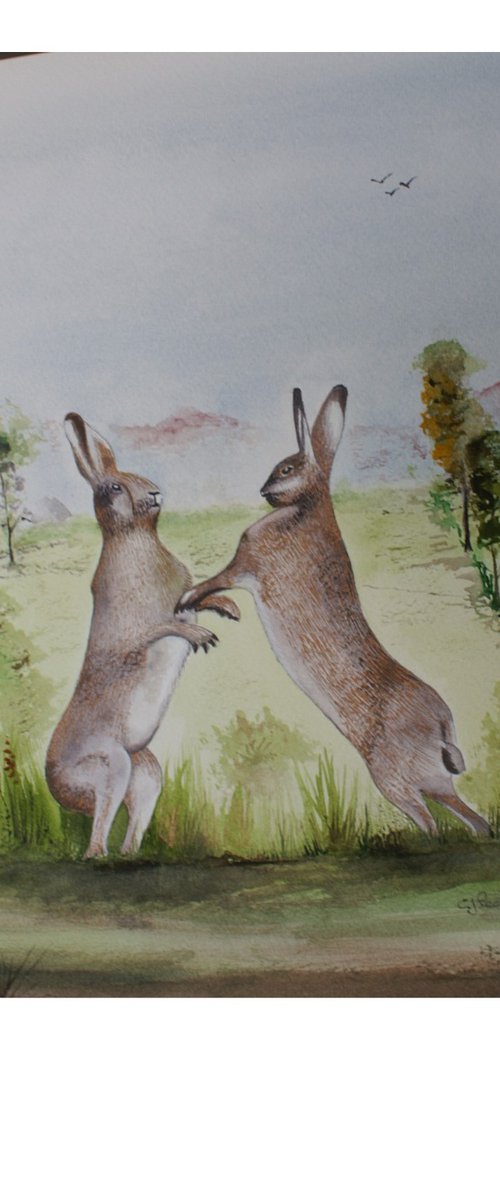 Hares boxing by Chris Pearson