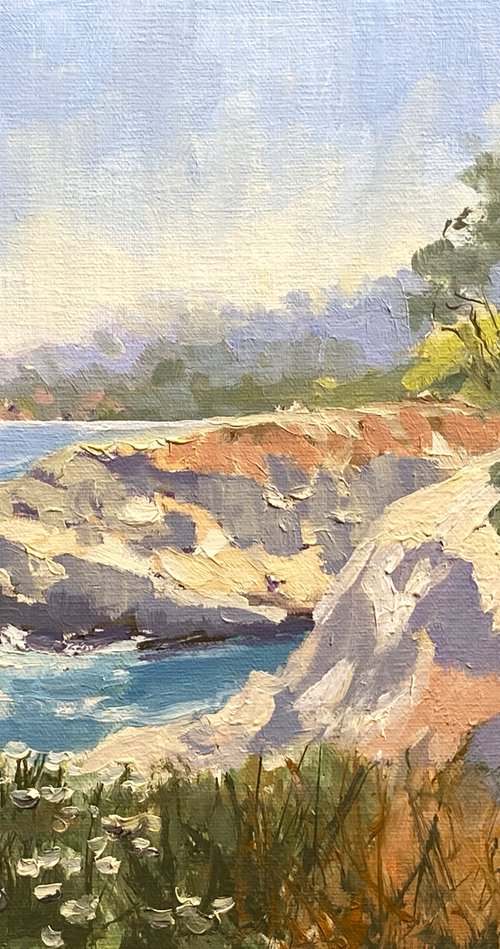 La Jolla Coves by Tatyana Fogarty