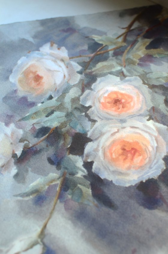 Roses and Shadows