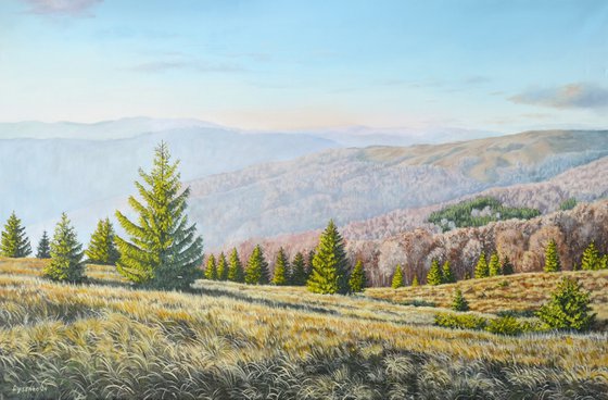 Where the Wind Greets the Sun