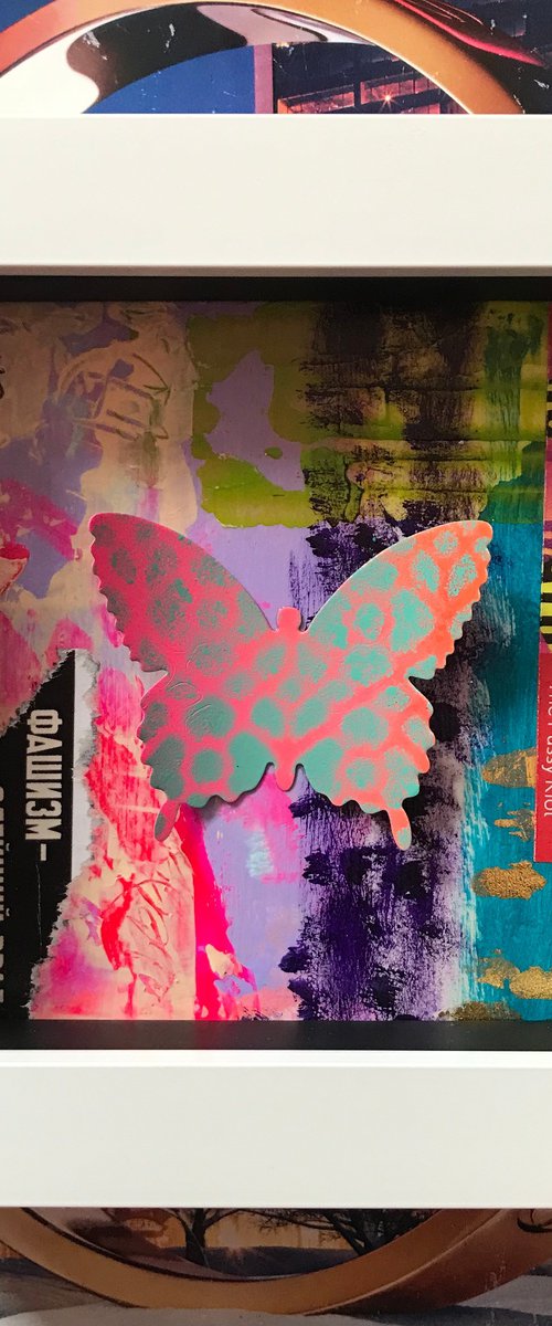 Mini Beauty  No4 - Abstract Butterfly in Box by Hernan Reinoso