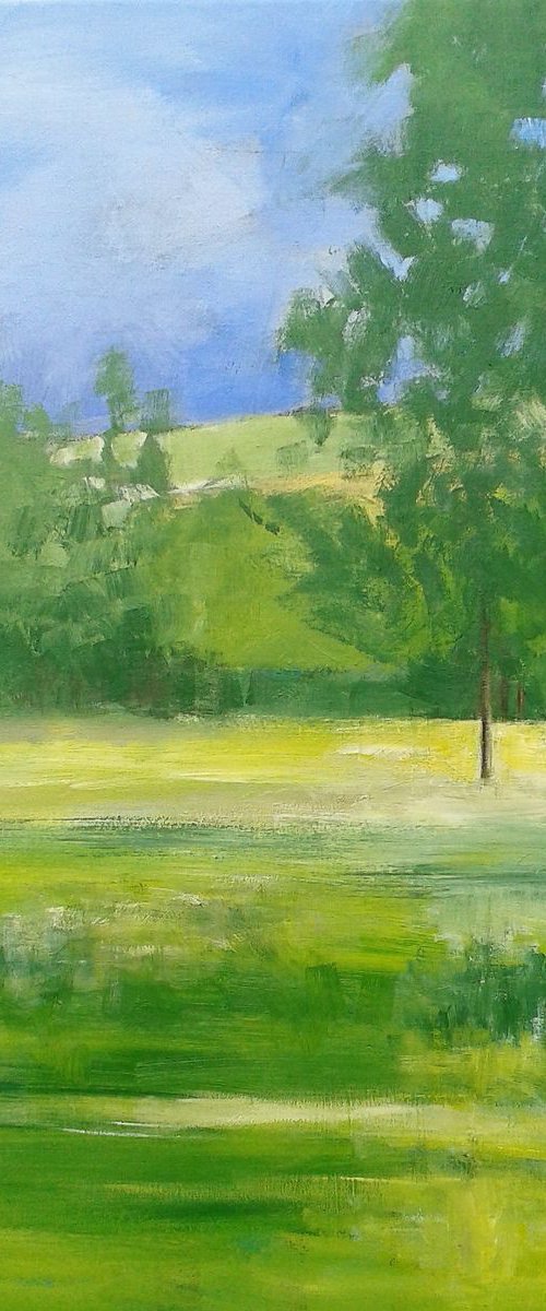 Newlands Corner, Surrey II - Large by Jan Rippingham