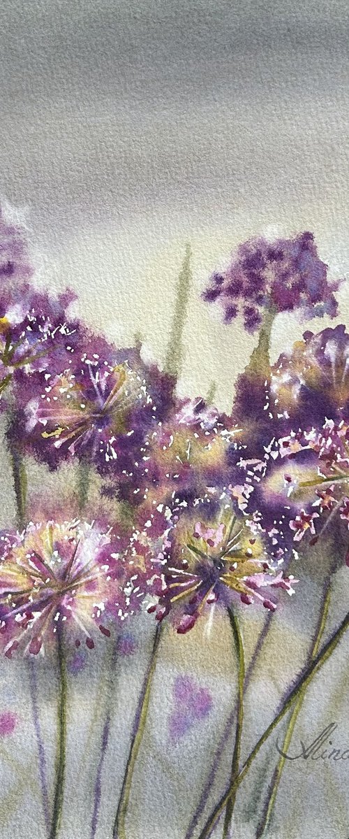 Allium flowers by Alina Karpova