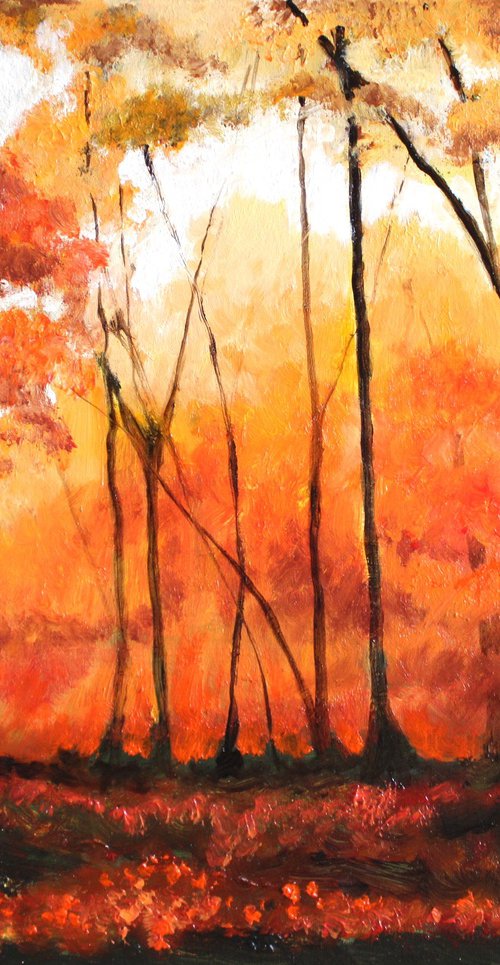 Autumn Fire by Rod Bere