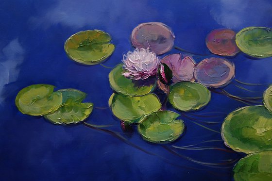 "Water lilies on the water"