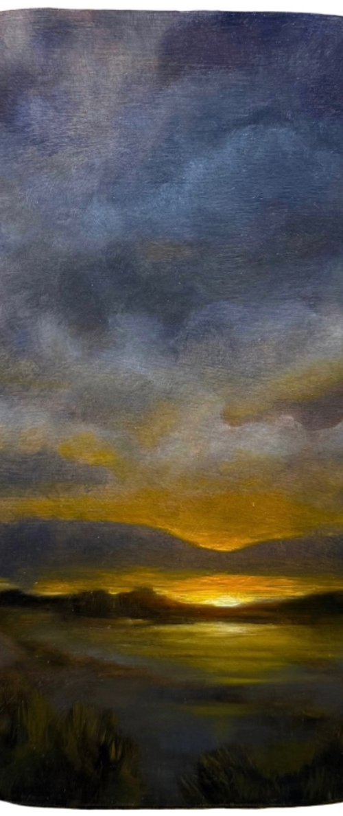 Swamp Mystery by Daiva Karaliute