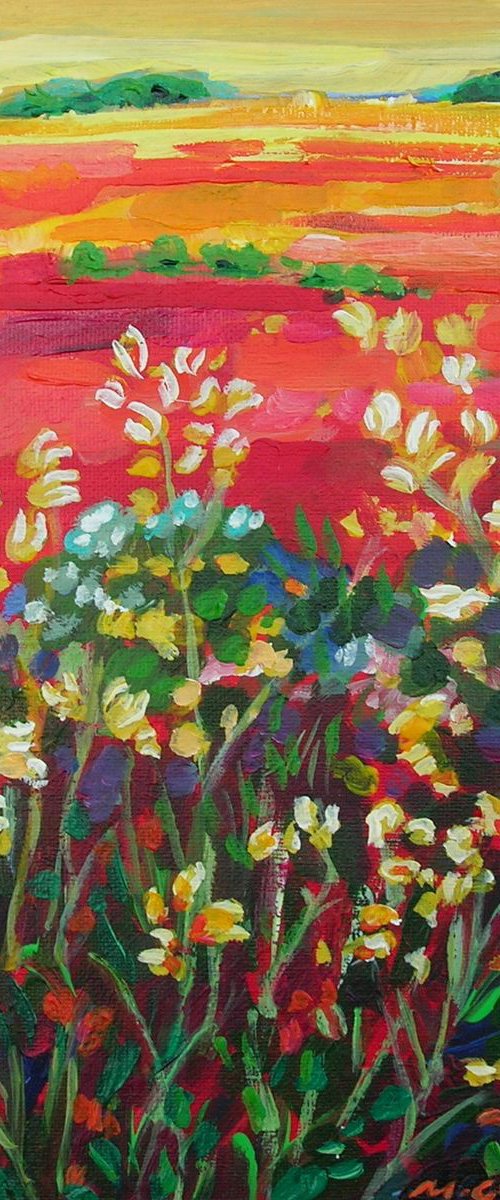 Golden fields by Maja Grecic