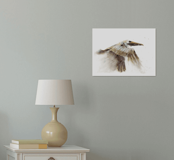 Flying Brown Pelican  -  Original Watercolor Painting