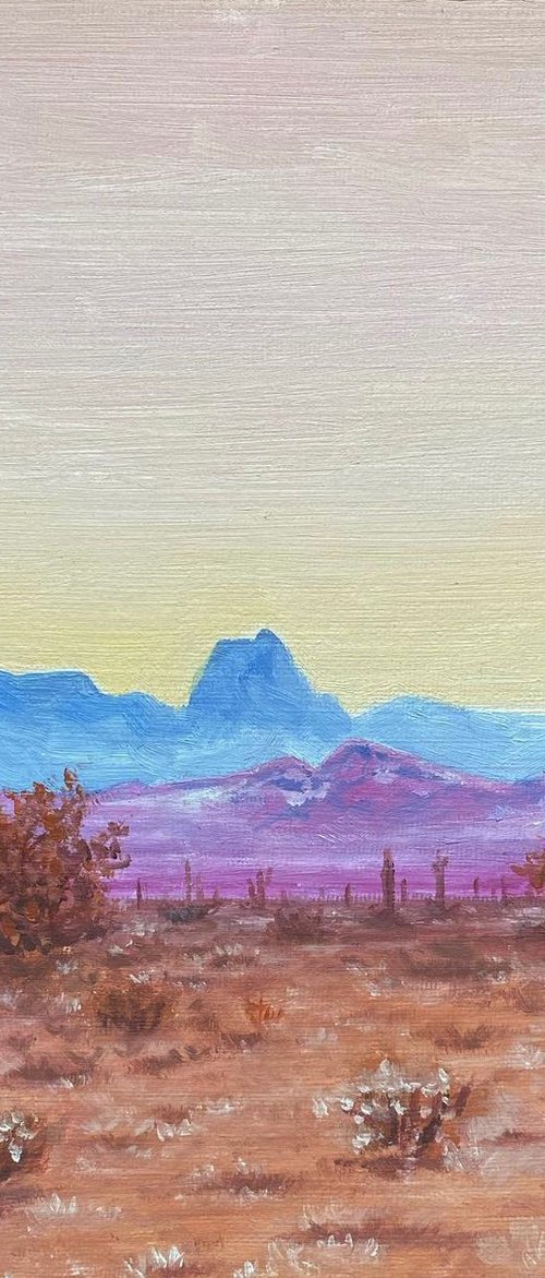 Desert Sun by Grace Neeson