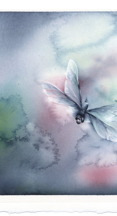 Glimpse IV - Dragonfly Watercolor Painting by ieva Janu