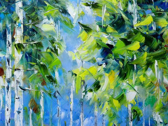 In the Summer Forest