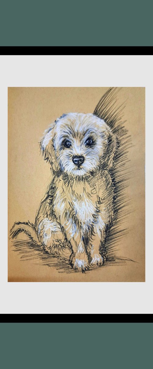 Cute puppy sketch by Asha Shenoy