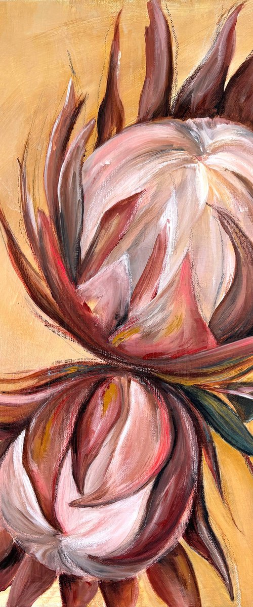 Proteas in Warm Light by Lyndsay Tarren-Leister