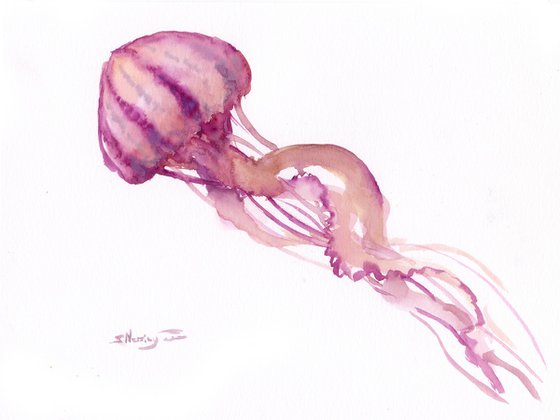 Pink Jellyfish