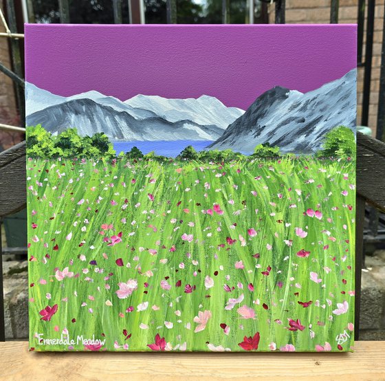 Ennerdale Meadow