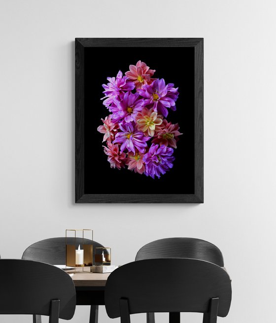 Pink and Peach Dahlias