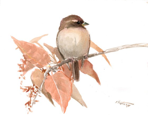 Sparrow in the Fall