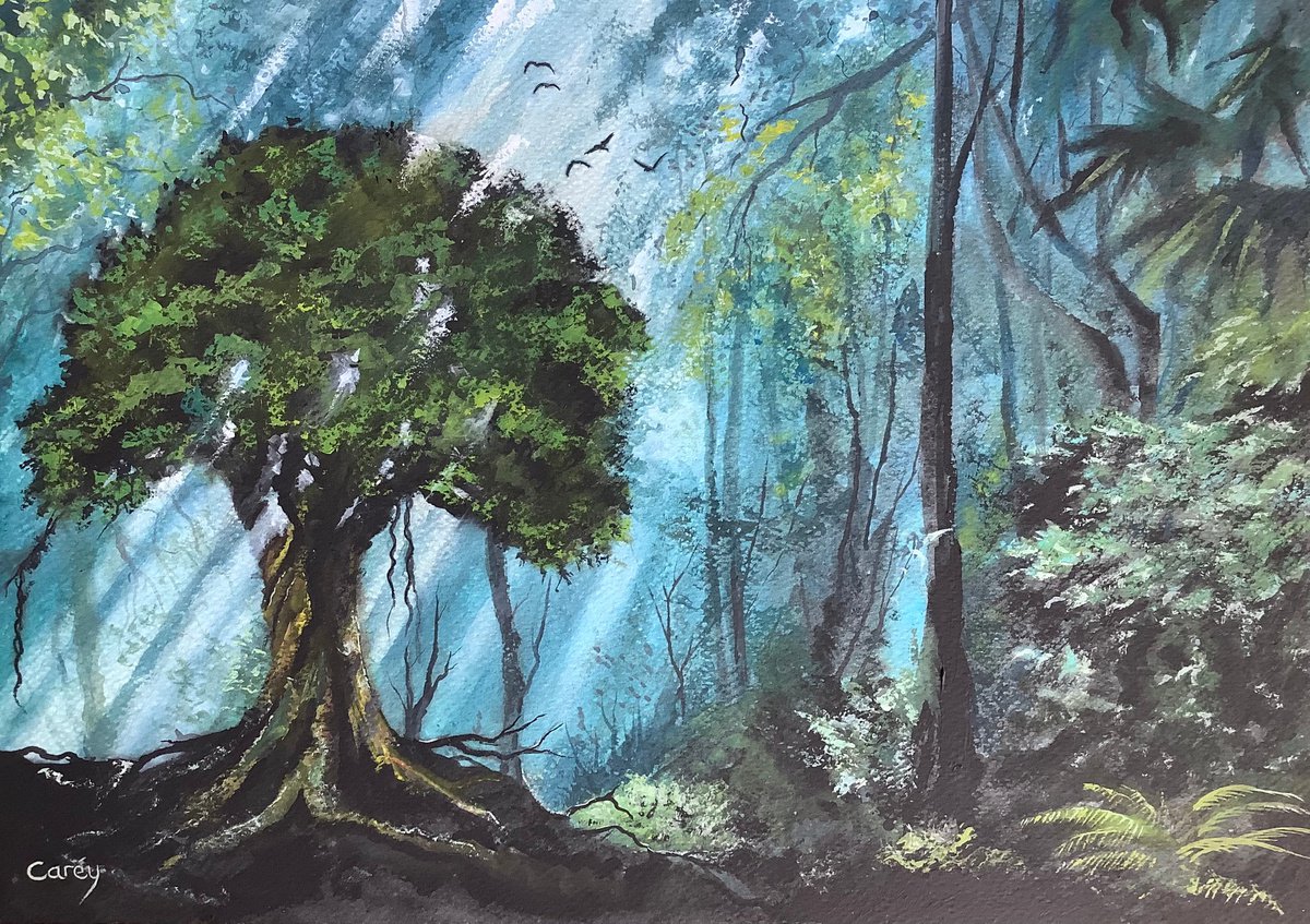 Forest Dawn by Darren Carey