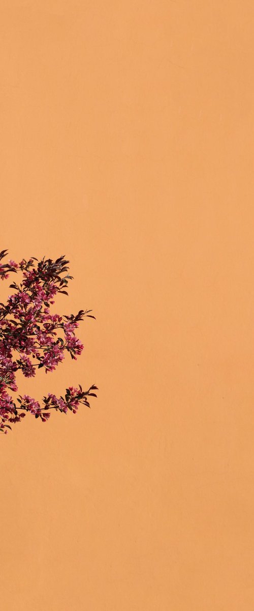 Autumn on the edge by Marcus Cederberg