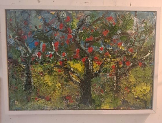 Apple tree