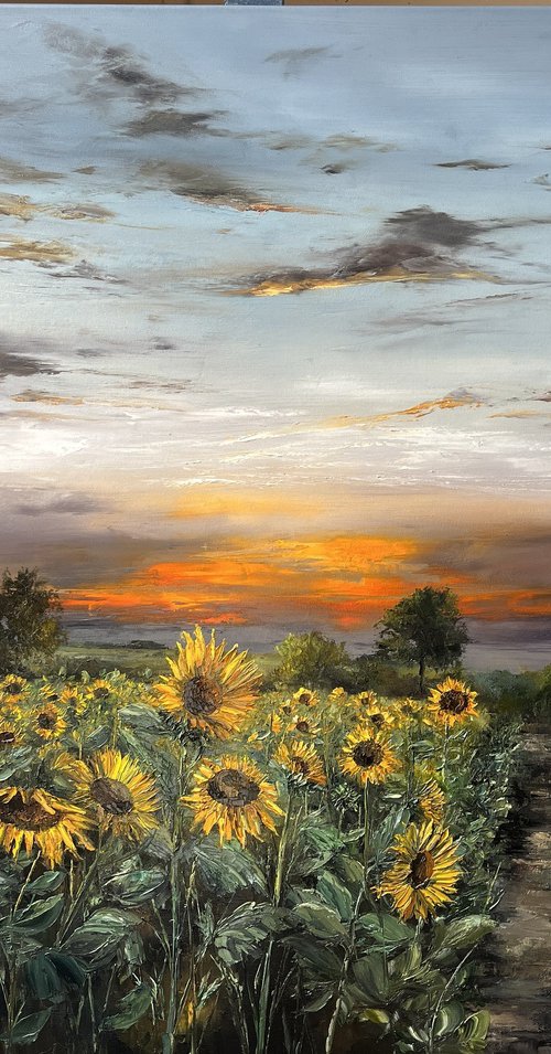 Path to Sunflowers by Kimberley  Harris