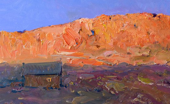 Evening Light. Desert