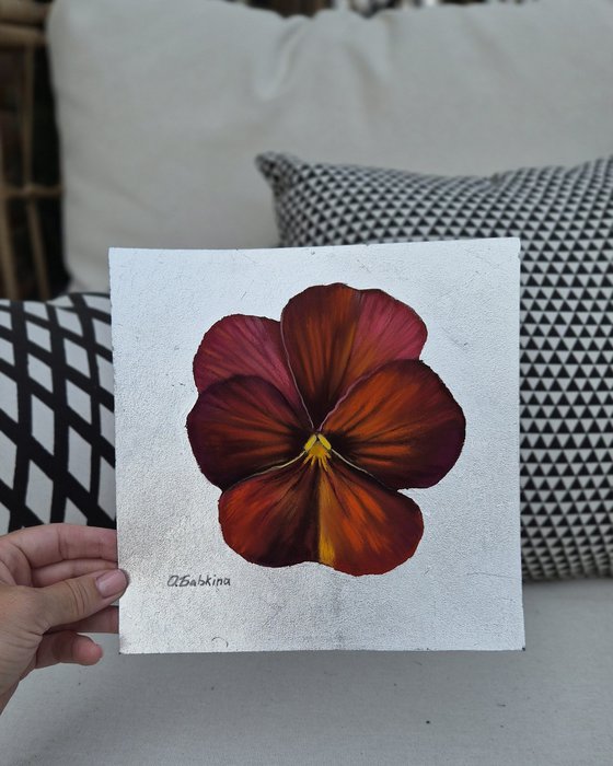 Pansy #11