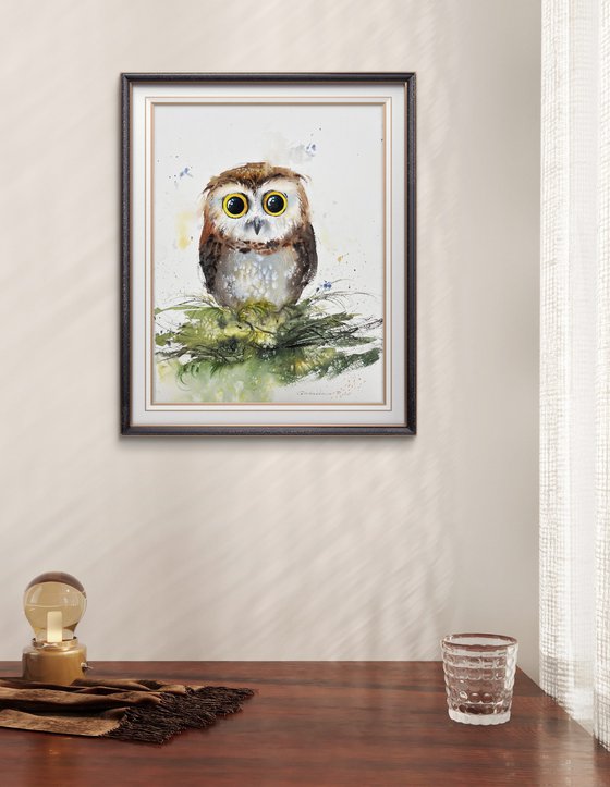 The Curious Owl