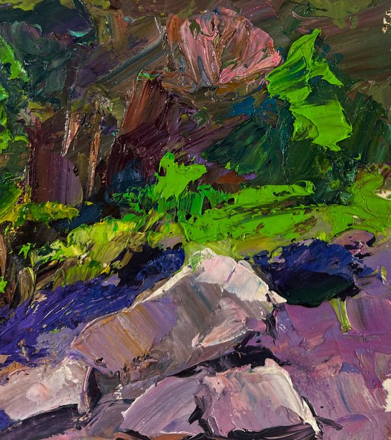 Mountain River Descending through Forest