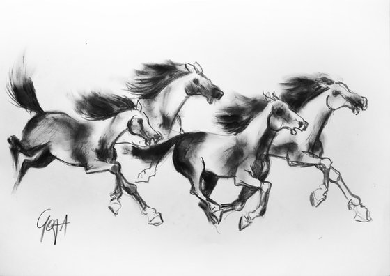 HORSES