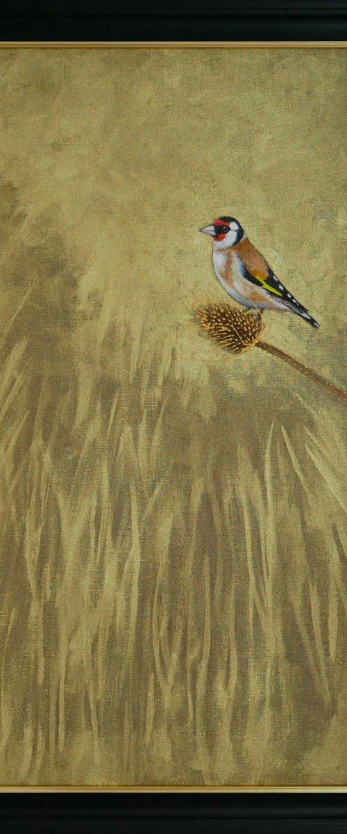 Goldfinch on Teasel with Gold by Hannah  Bruce
