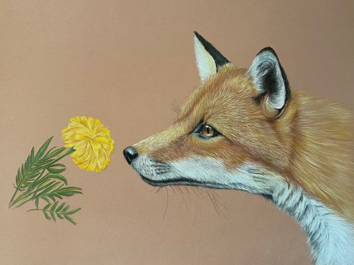 Fox and flower by Maxine Taylor