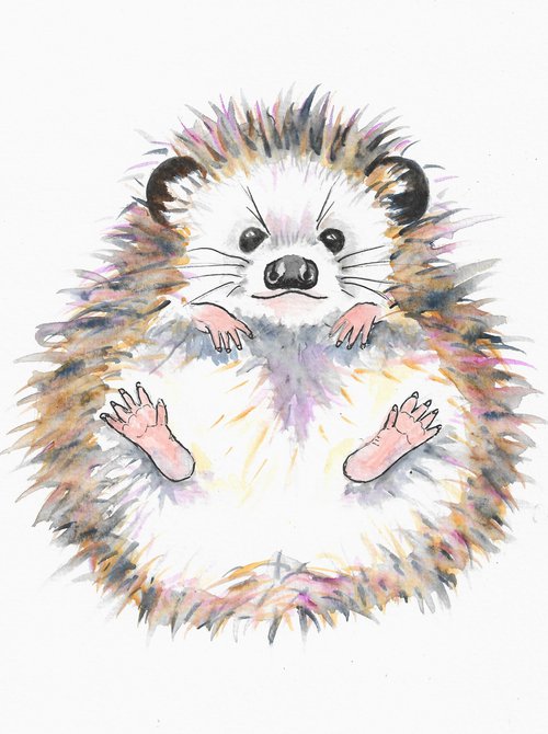 Little Hedgehog by MARJANSART