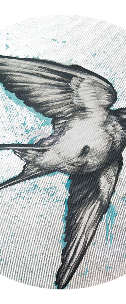 Swallow by Lesja Rygorczuk