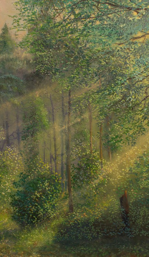 Sunny Forest by Vladimir Jarmolo