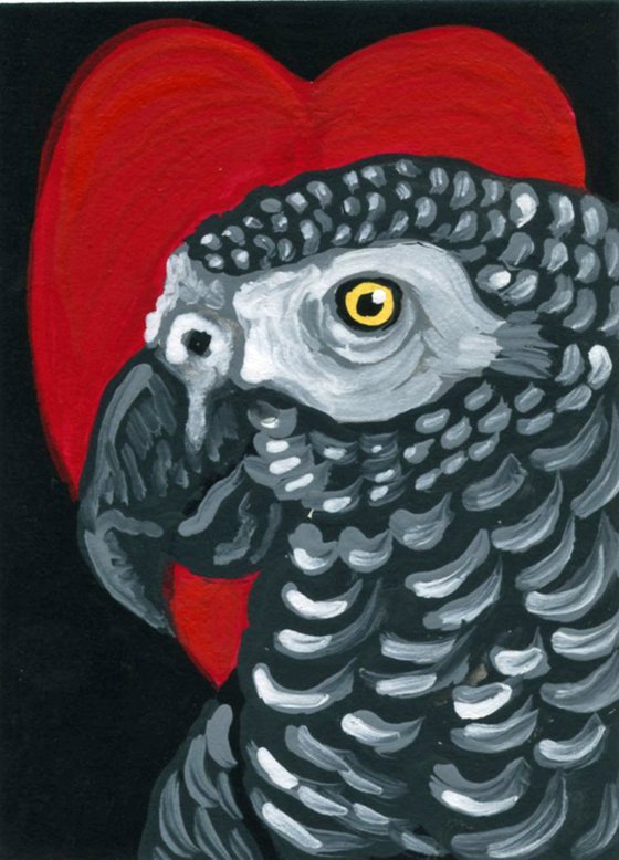 ACEO ATC Original Miniature Painting Valentine African Grey Parrot Pet Bird Art-Carla Smale