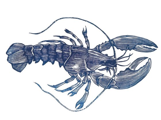 Blue Lobster