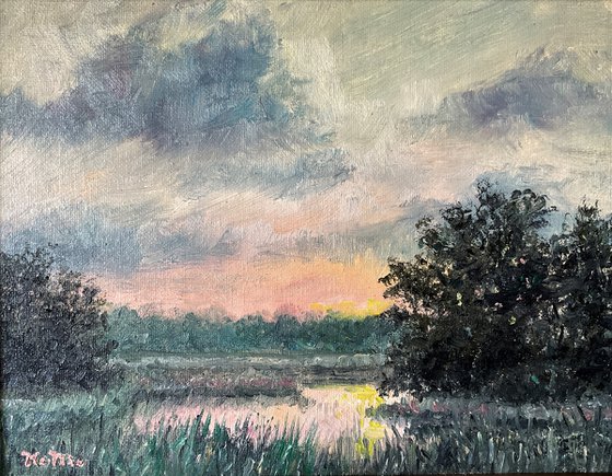 DAWN on the MARSH