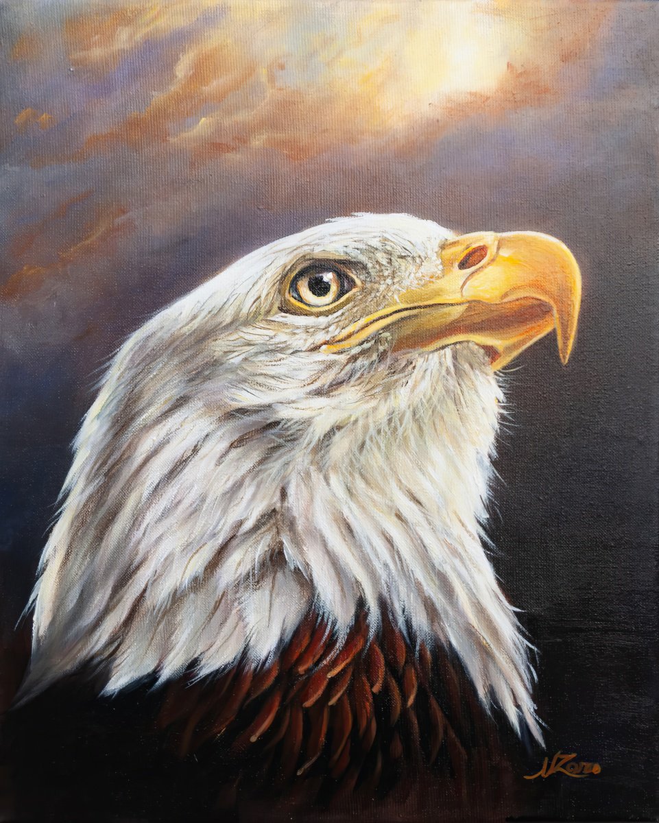 Photorealistic Animal Acrylic Painting By Norma Beatriz Zaro, 9 X 12", Bald Eagle, Original Artwork