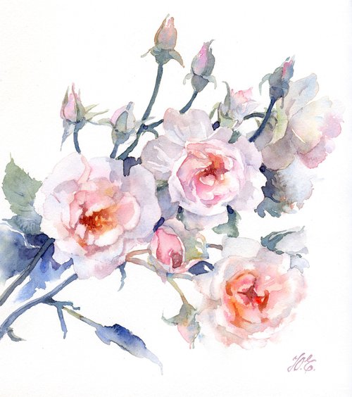 Watercolor roses on white by Yulia Evsyukova