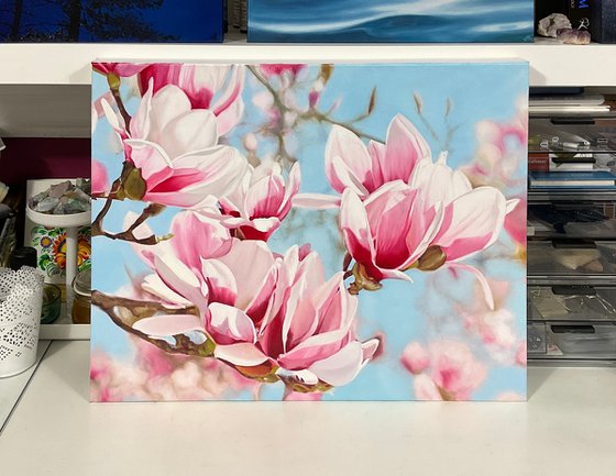 Magnolia Flowers