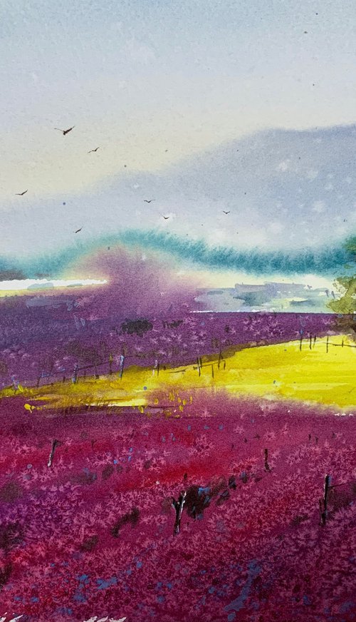 Lavender fields #2 by Eugenia Gorbacheva