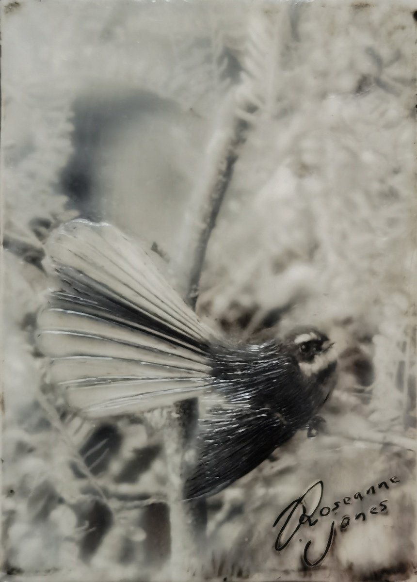 Fantail Flutter by Roseanne Jones